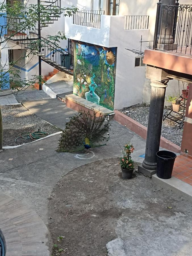 Hotel Posada Comala 외부 사진
